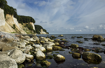 Kreidefelsen Rügen